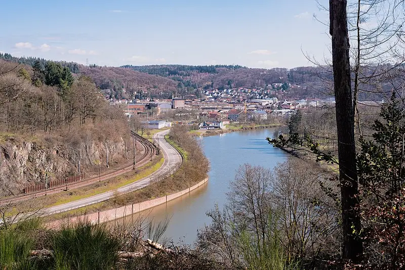 20210320 Naturschutzgebiet Saar Steilhänge Lutwinuswald 03