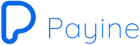 Payine logo