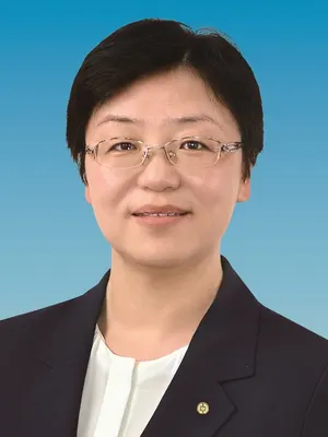 WANG Chunfei